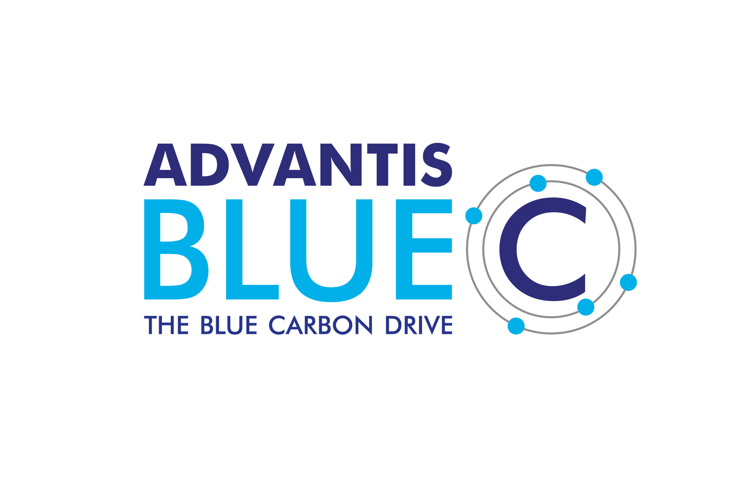 What is Blue Carbon and Why is it Important?